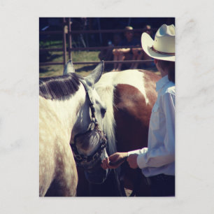 Carte Postale Spectacle à cheval