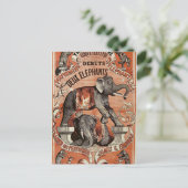 Carte postale spectacle d'éléphants de cirque vint (Debout devant)