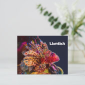 Carte Postale Spectaculaire poisson-lion (Debout devant)