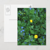 Carte Postale Speedwell et Boutons d'or (Devant / Derrière)