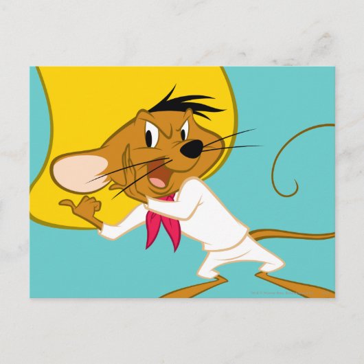 Carte Postale SPEEDY GONZALES™ en couleur (Devant)