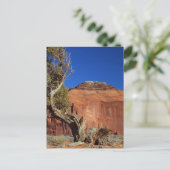 Carte Postale Spehead Mesa À Monument Valley (Debout devant)