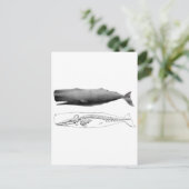 Carte Postale spermatozoïde-1 (Debout devant)