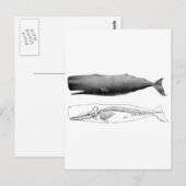 Carte Postale spermatozoïde-1 (Devant / Derrière)