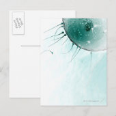 Carte Postale Sperme fécondant un ovule. (Devant / Derrière)