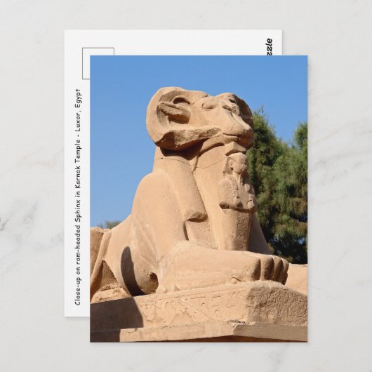 Carte Postale Sphinx à tête de bélier dans le temple de Karnak - (Devant / Derrière)