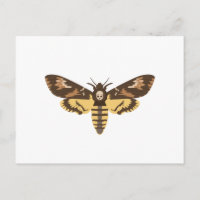 Sphinx à tête de mort