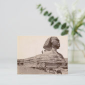Carte Postale Sphinx Egypte (Debout devant)