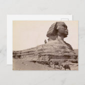 Carte Postale Sphinx Egypte (Devant / Derrière)