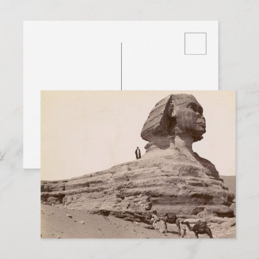 Carte Postale Sphinx Egypte (Devant / Derrière)