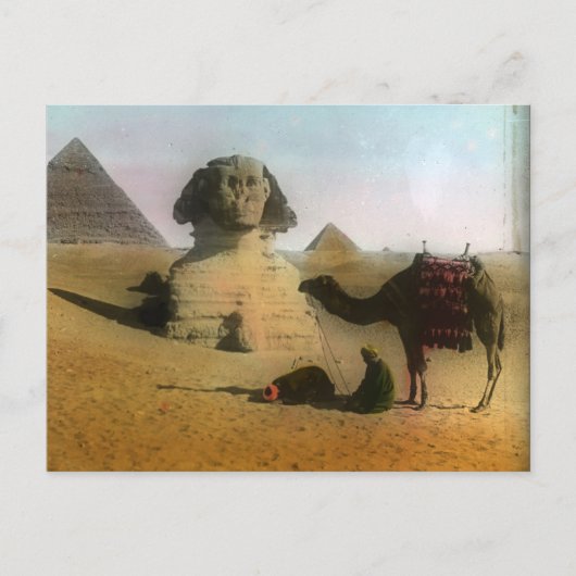 Carte postale Sphnix et Pyramide (Devant)