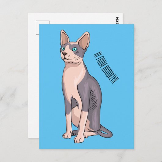 Carte Postale Sphynx cat (Devant / Derrière)