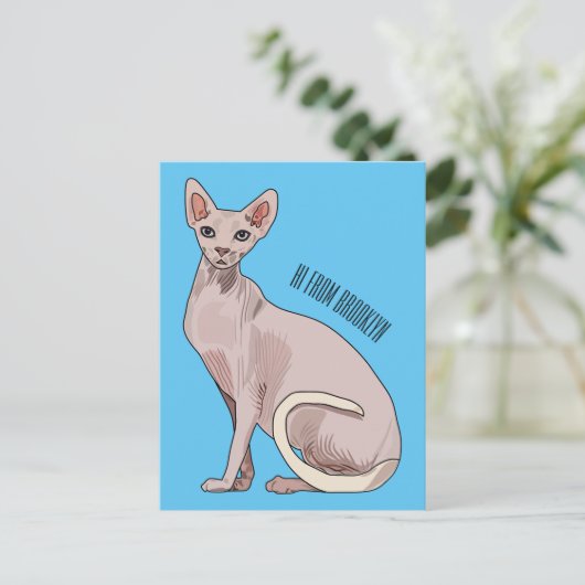 Carte Postale Sphynx cat (Debout devant)
