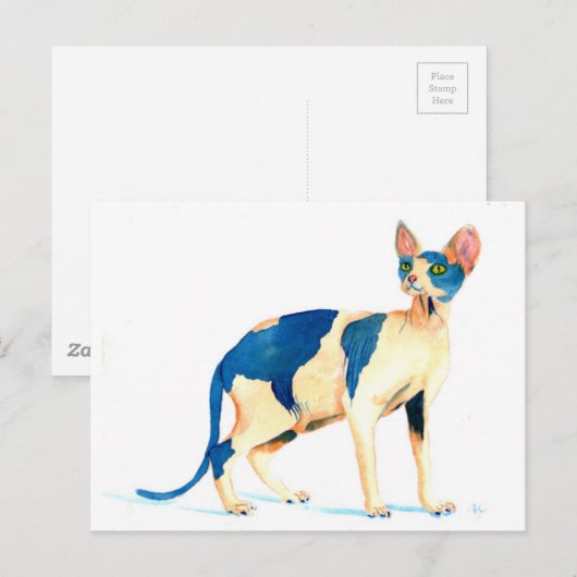 Carte Postale Sphynx Cat 5 (Devant / Derrière)