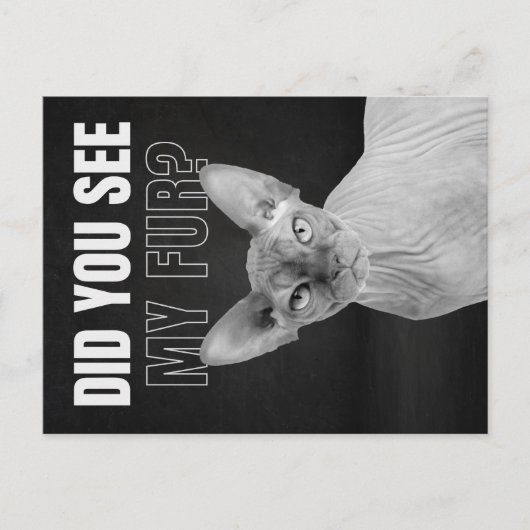 Carte Postale Sphynx Cat Sarcastic Fur Humor Illustration (Devant)