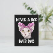 Carte Postale Sphynx Cat Toxits For Women And Men Sphynx Cat (Debout devant)