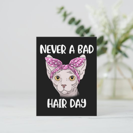 Carte Postale Sphynx Cat Toxits For Women And Men Sphynx Cat (Debout devant)