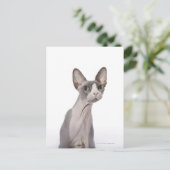 Carte Postale Sphynx Cat with surprised expression (Debout devant)