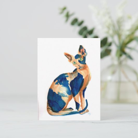 Carte Postale Sphynx Chat 6 (Debout devant)
