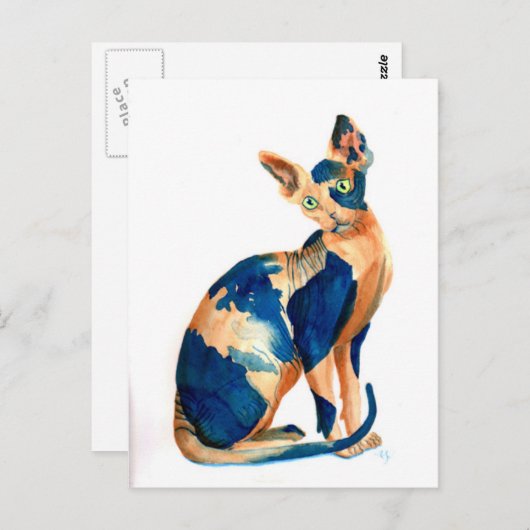 Carte Postale Sphynx Chat 6 (Devant / Derrière)