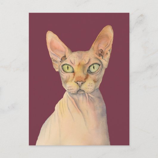 Carte Postale Sphynx Chat Aquarelle Portrait (Devant)