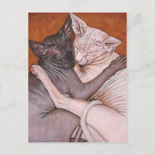 Carte Postale Sphynx Sphinx Cat Cats Heure de la nuit