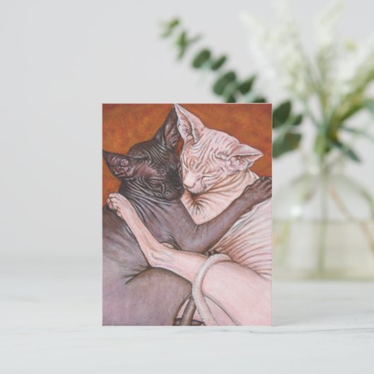 Carte Postale Sphynx Sphinx Cat Cats Heure de la sieste (Debout devant)