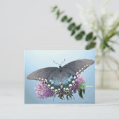 Carte postale Spicebush Swallowtail (Debout devant)