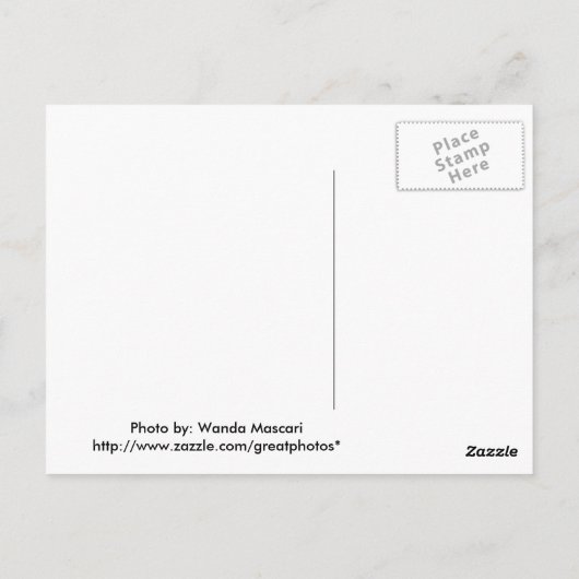 Carte postale Spider (Dos)