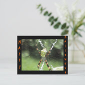 Carte postale Spider (Debout devant)