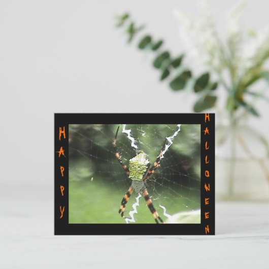 Carte postale Spider (Debout devant)