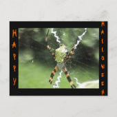 Carte postale Spider (Devant)