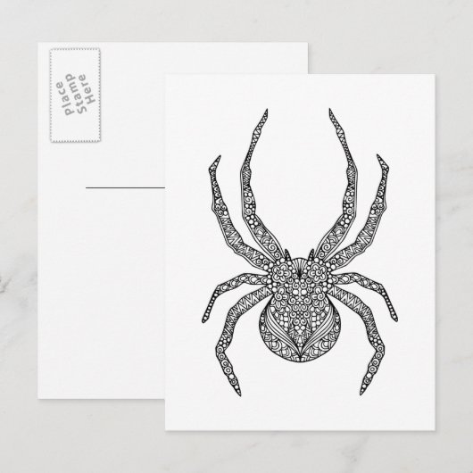 Carte Postale Spider Doodle (Devant / Derrière)