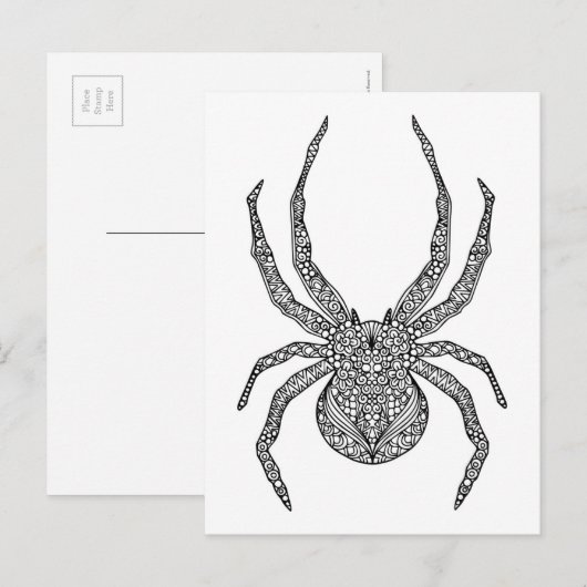 Carte Postale Spider Doodle (Devant / Derrière)