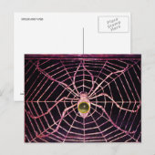 Carte Postale SPIDER ET WEB Gris Agate Noir (Devant / Derrière)
