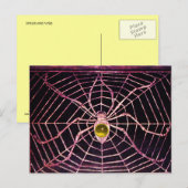 Carte Postale SPIDER ET WEB Jaune Topaz Noir (Devant / Derrière)