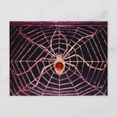 Carte Postale SPIDER ET WEB Rouge Ruby Noir (Devant)