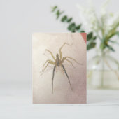 Carte postale Spider Homme (Debout devant)