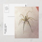 Carte postale Spider Homme (Devant / Derrière)