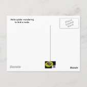 Carte postale Spider Homme (Dos)