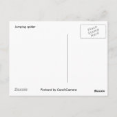Carte postale Spider Noir & Blanc Sel (Dos)