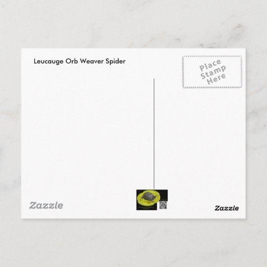 Carte postale Spider Underside (Dos)