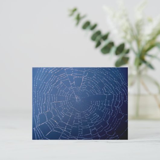 Carte Postale Spider Web (Debout devant)