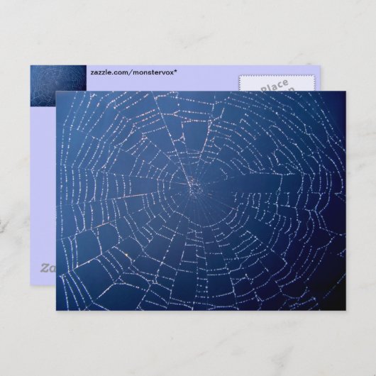 Carte Postale Spider Web (Devant / Derrière)