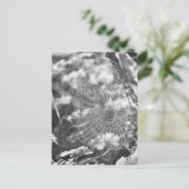 Carte Postale Spiderweb en herbe longue (Debout devant)