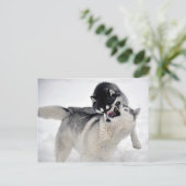 Carte Postale spielodernst (Debout devant)