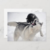 Carte Postale spielodernst (Devant / Derrière)