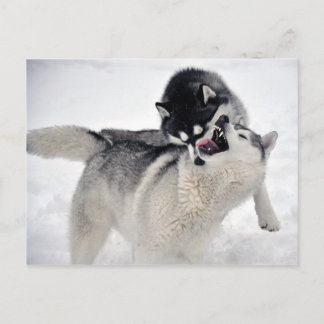 Carte Postale spielodernst