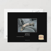 Carte Postale Spine (Devant / Derrière)