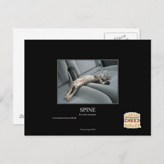 Carte Postale Spine (Devant / Derrière)